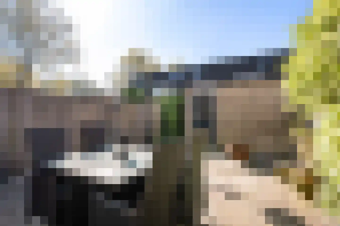 Brigantijn 4 Woerden thumbnail 20