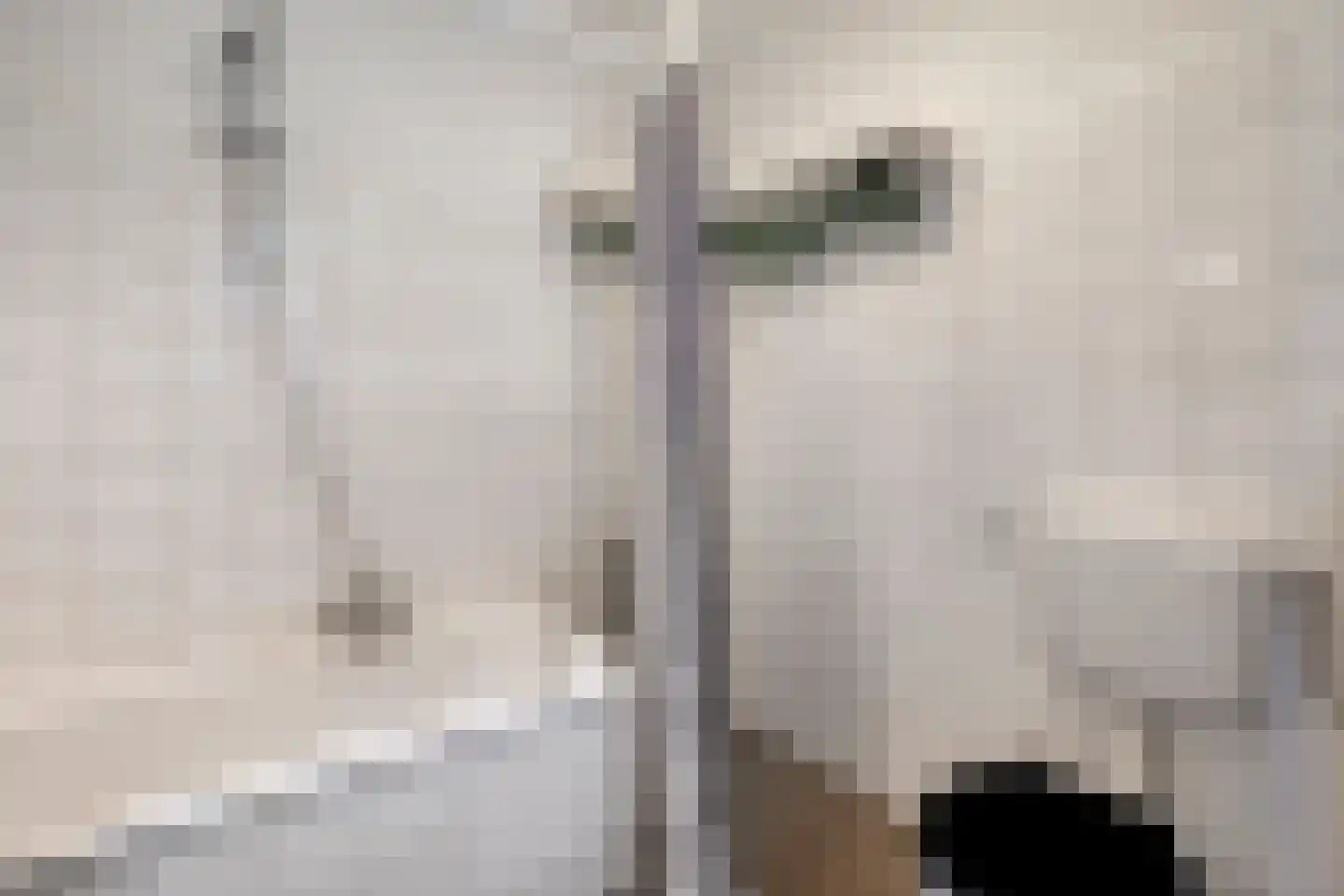 Brigantijn 5 Woerden thumbnail 24