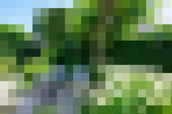 Brigantijn 9 Alphen aan den Rijn thumbnail 5