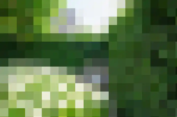 Brigantijn 9 Alphen aan den Rijn thumbnail 6