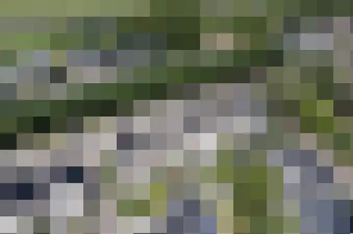 Brigantijn 9 Alphen aan den Rijn thumbnail 8