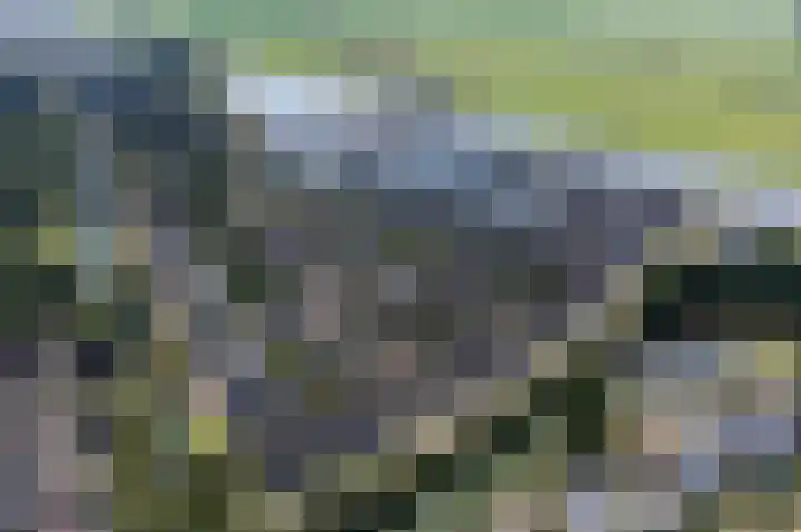 Brigantijn 9 Alphen aan den Rijn thumbnail 9