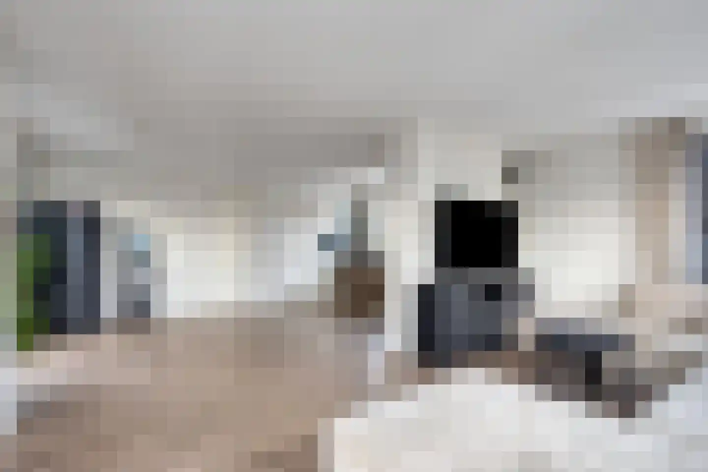 Brigantijnkade 36 Amsterdam thumbnail 15