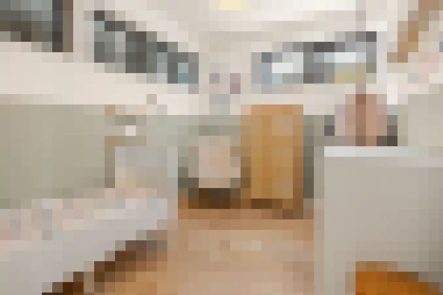 Brigantijnkade 46 Amsterdam thumbnail 26