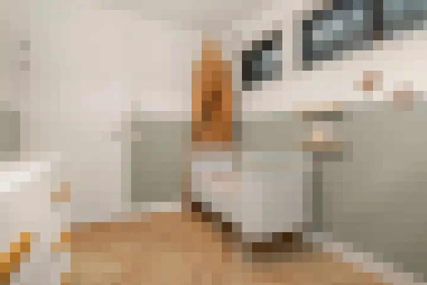 Brigantijnkade 46 Amsterdam thumbnail 27