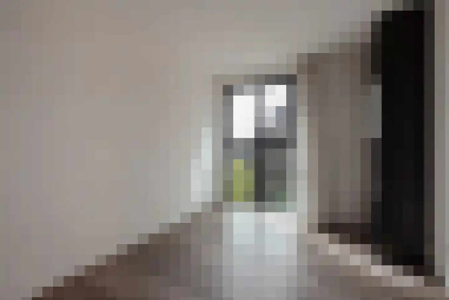 Brigantijnlaan 179 Den Haag thumbnail 18