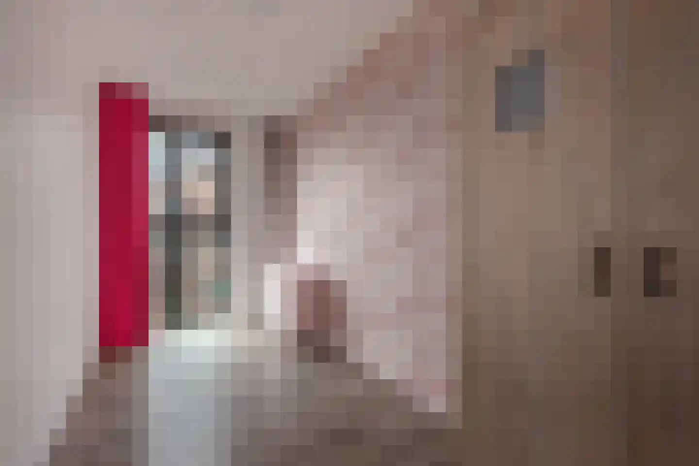 Brigantijnlaan 179 Den Haag thumbnail 20