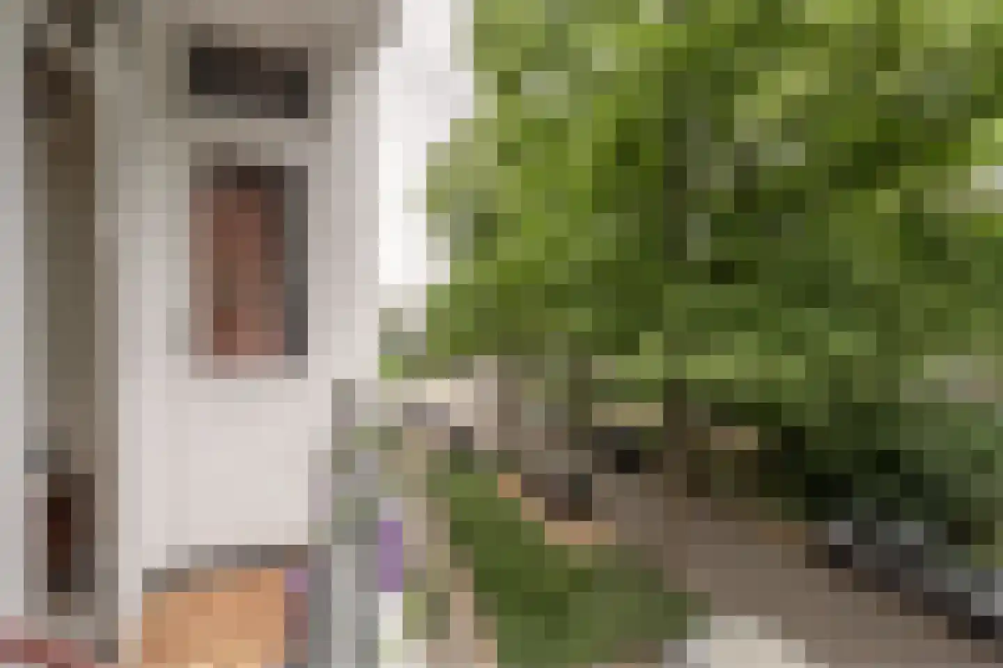 Brigantijnstraat 11 B Rotterdam thumbnail 5