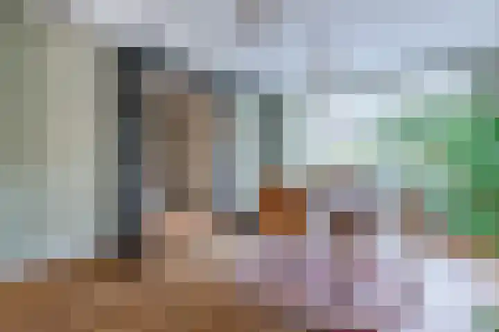 Brigantijnstraat 19 Zaandam thumbnail 20