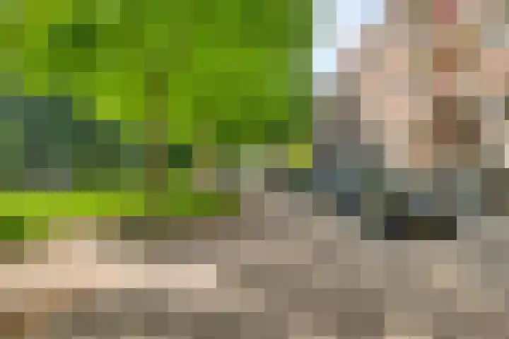 Brigantijnstraat 25 B Rotterdam thumbnail 5