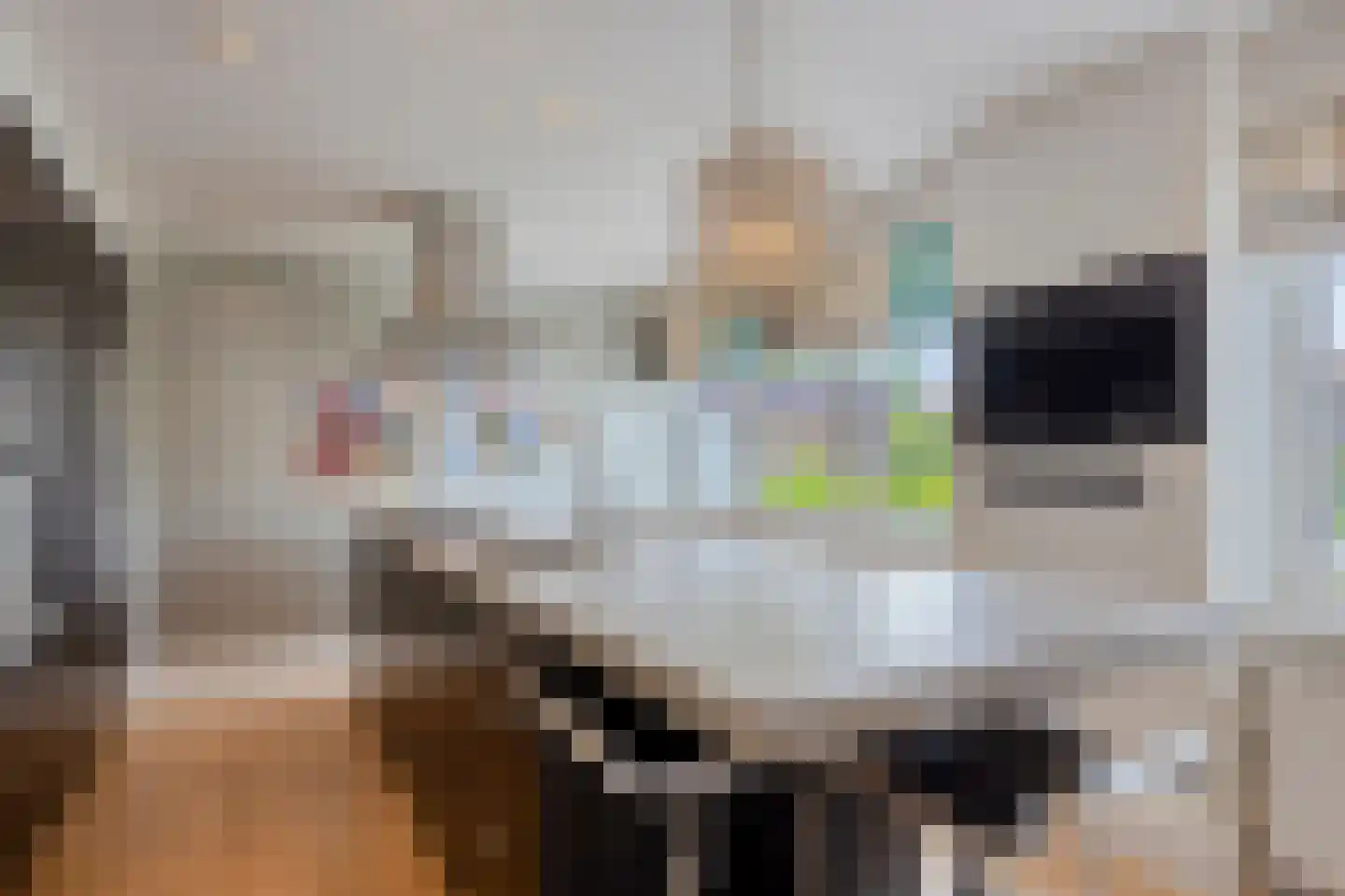 Brigantijnwal 9 Leiden thumbnail 15