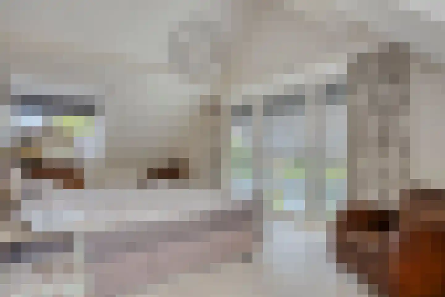 Brigantijnwal 9 Leiden thumbnail 23