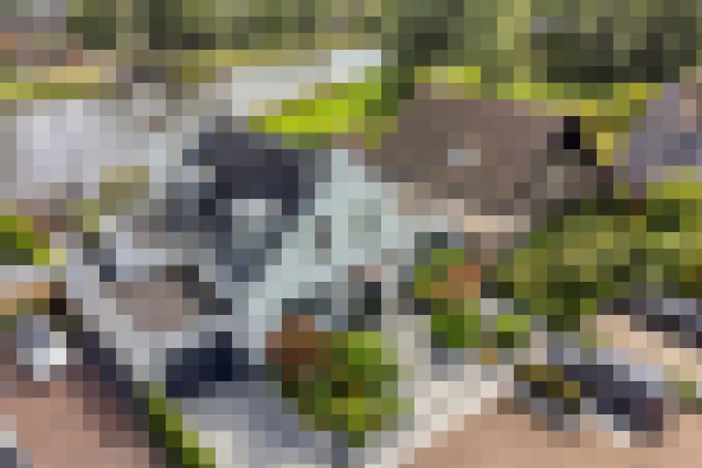 Brigantijnwal 9 Leiden thumbnail 64