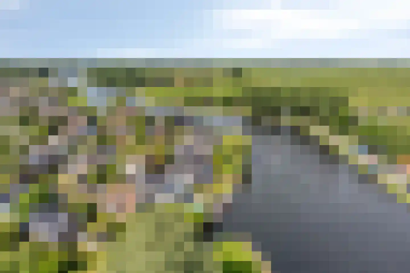 Brigantijnwal 9 Leiden thumbnail 68