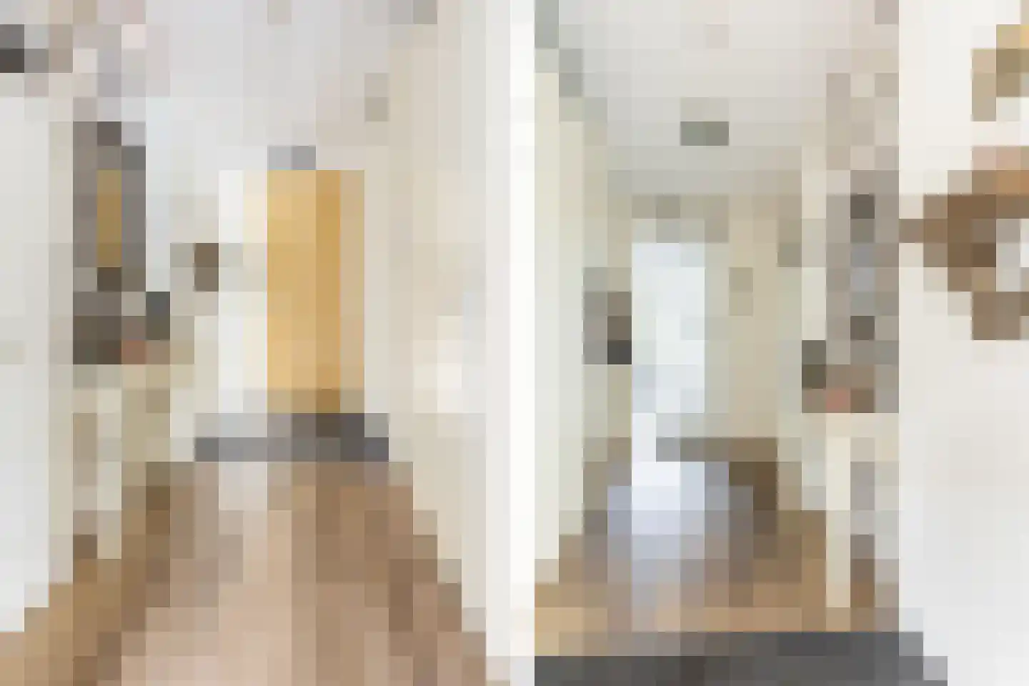 Briggemandreef 9 Rockanje thumbnail 10