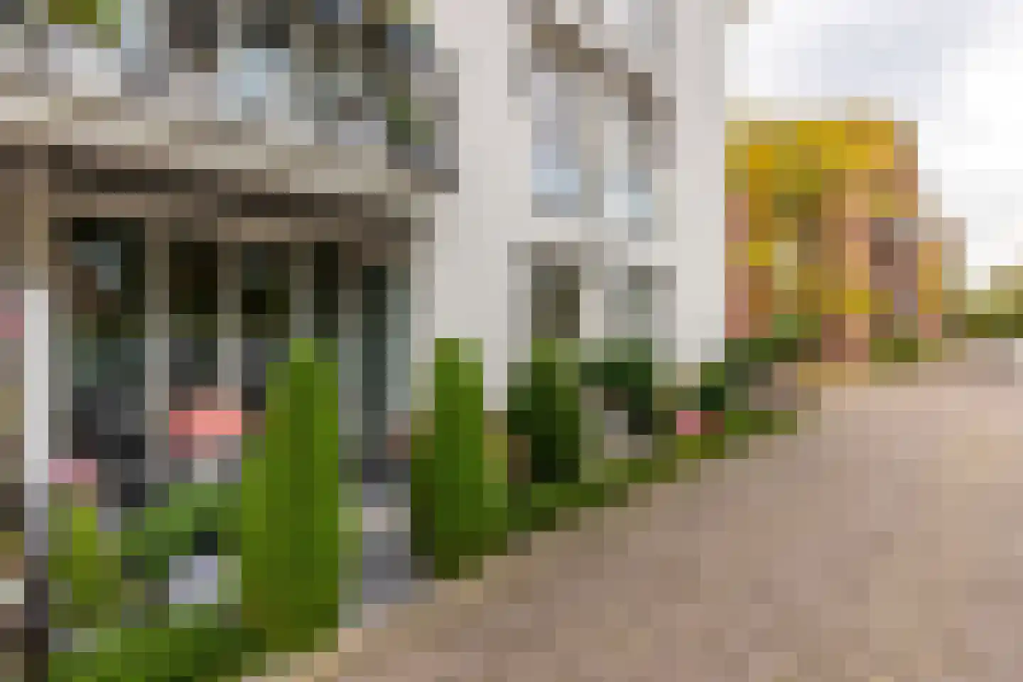 Briggemandreef 9 Rockanje thumbnail 16