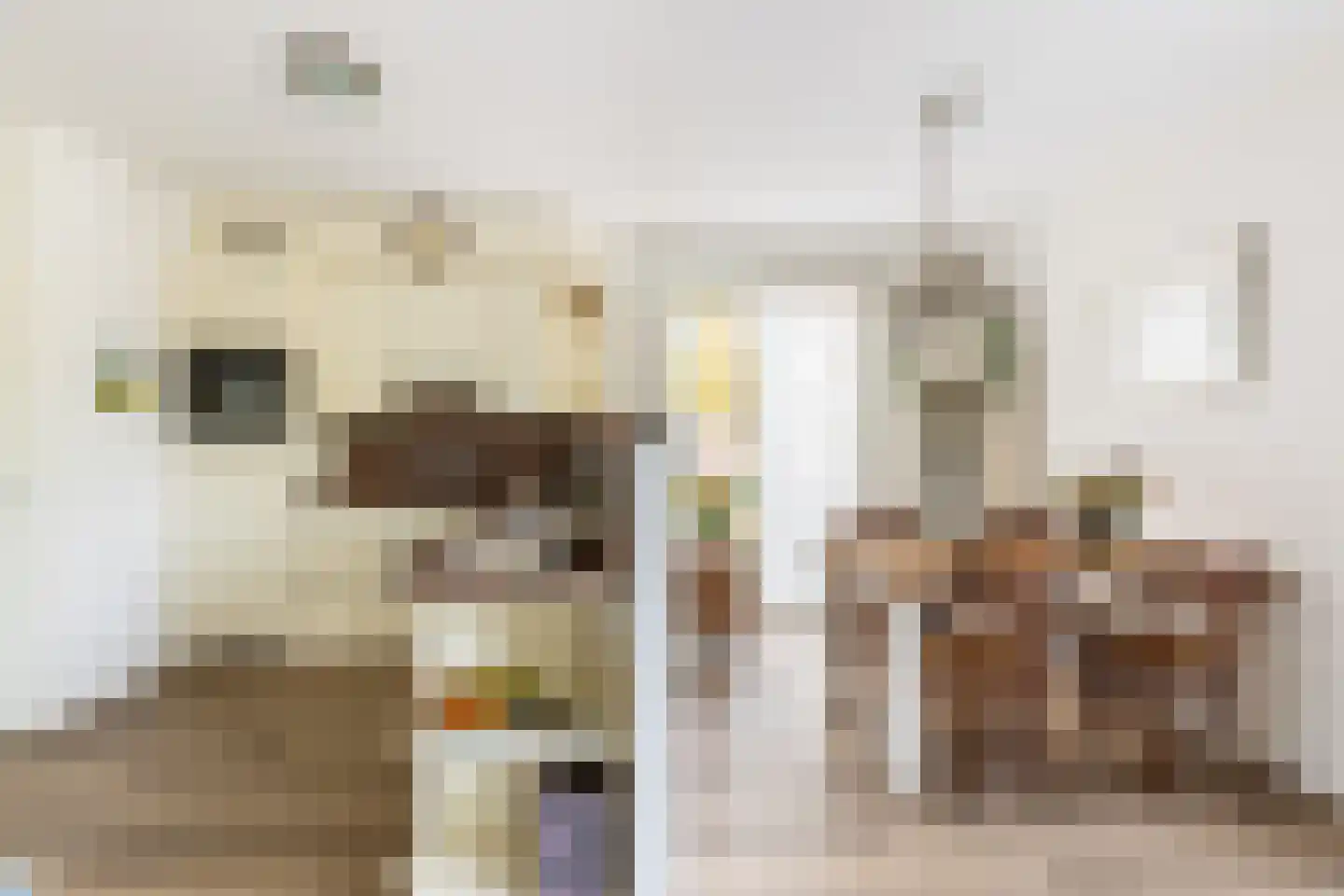 Briggemandreef 9 Rockanje thumbnail 22