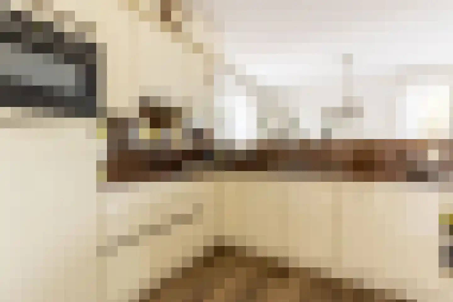 Briggemandreef 9 Rockanje thumbnail 23