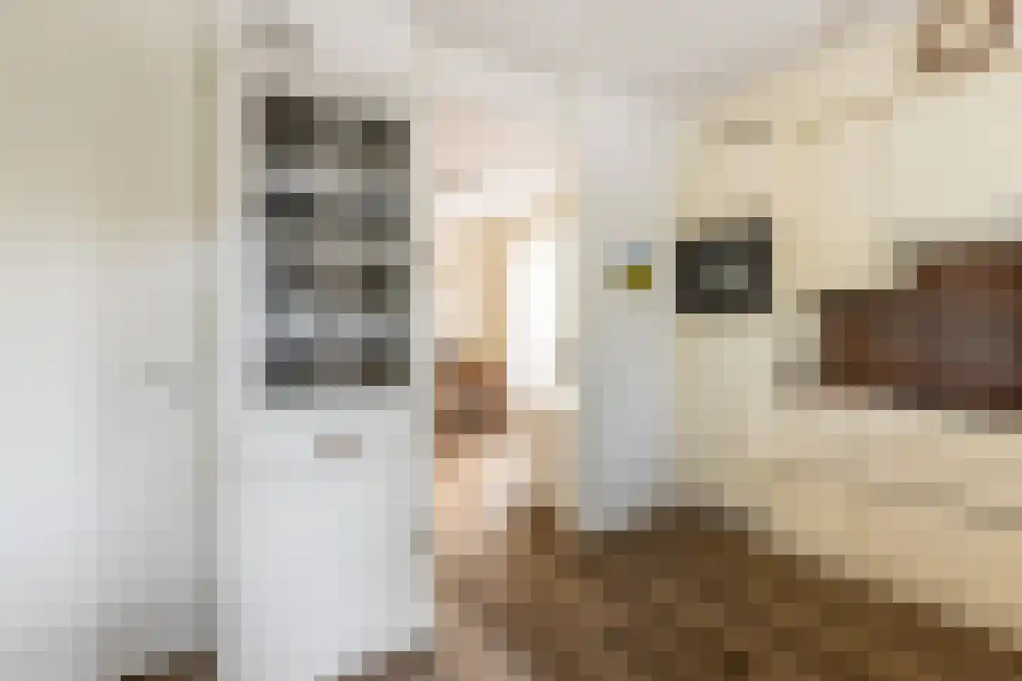 Briggemandreef 9 Rockanje thumbnail 26