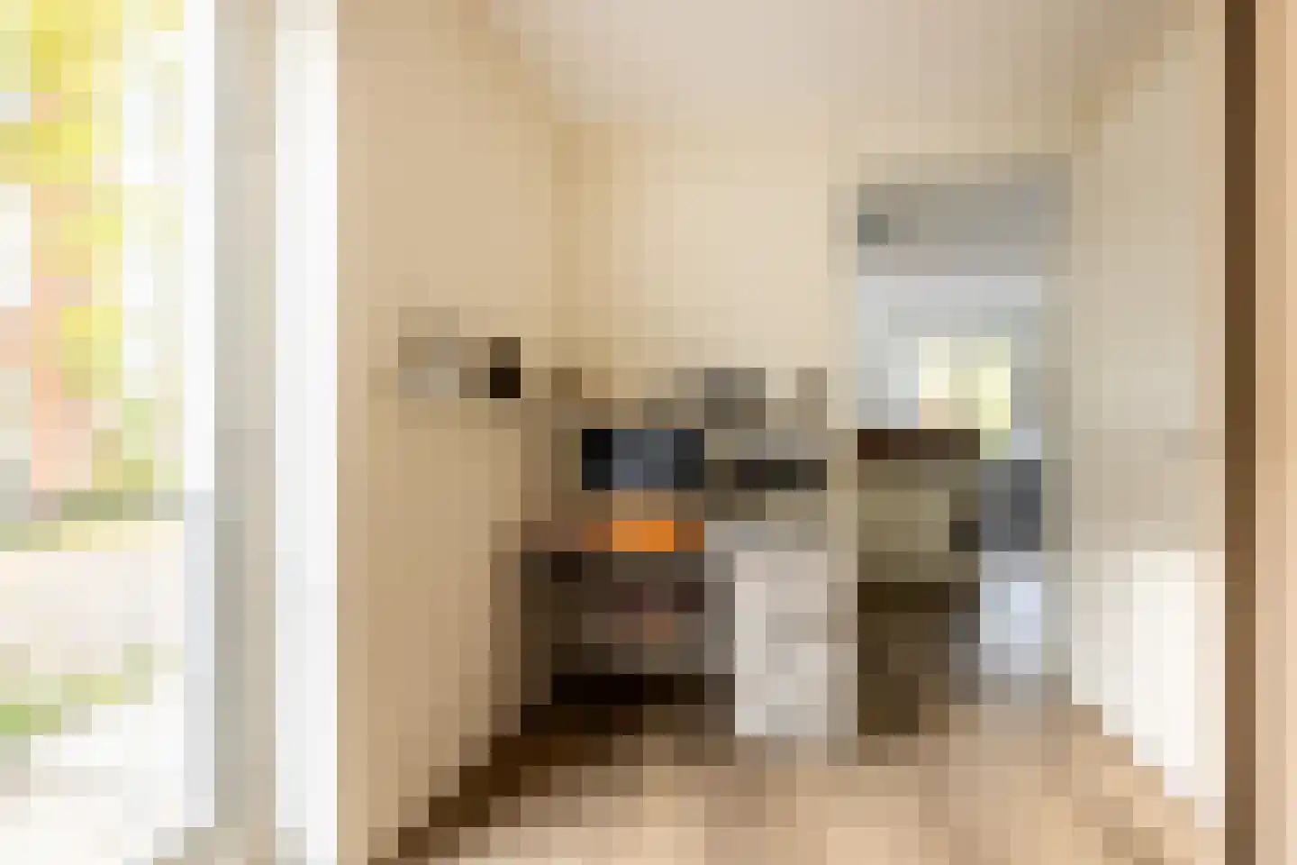 Briggemandreef 9 Rockanje thumbnail 29