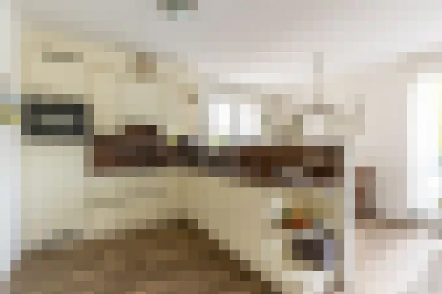 Briggemandreef 9 Rockanje thumbnail 4