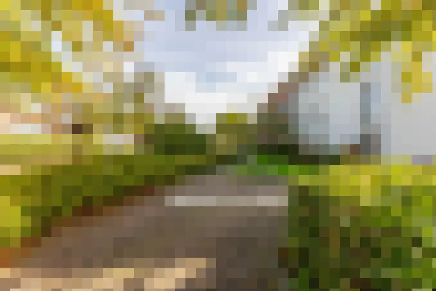 Briggemandreef 9 Rockanje thumbnail 40