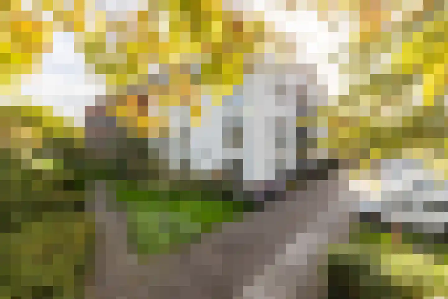 Briggemandreef 9 Rockanje thumbnail 41