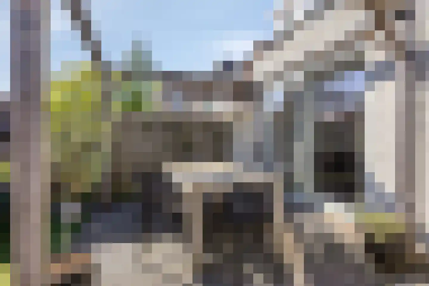 Brigidastraat 14 Breda thumbnail 34