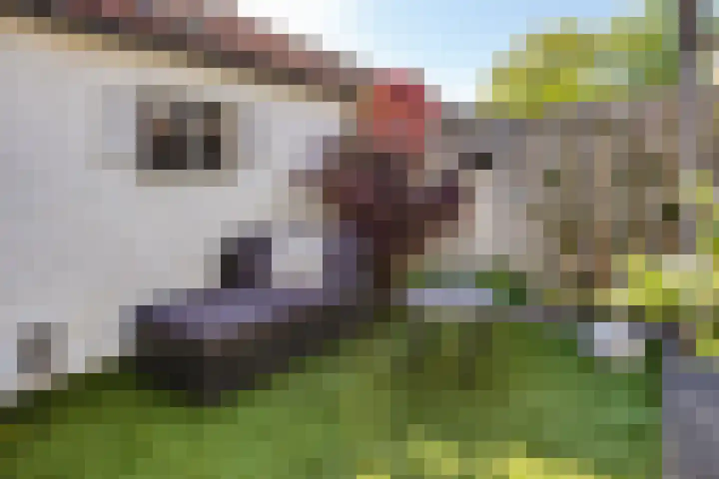 Brigidastraat 14 Breda thumbnail 35
