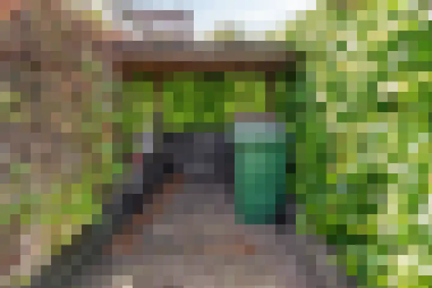 Brigidastraat 14 Breda thumbnail 37