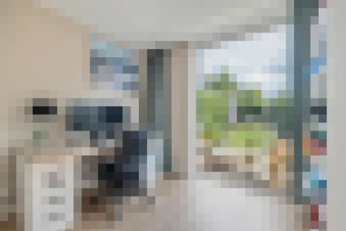 Brigidastraat 23 Breda thumbnail 29