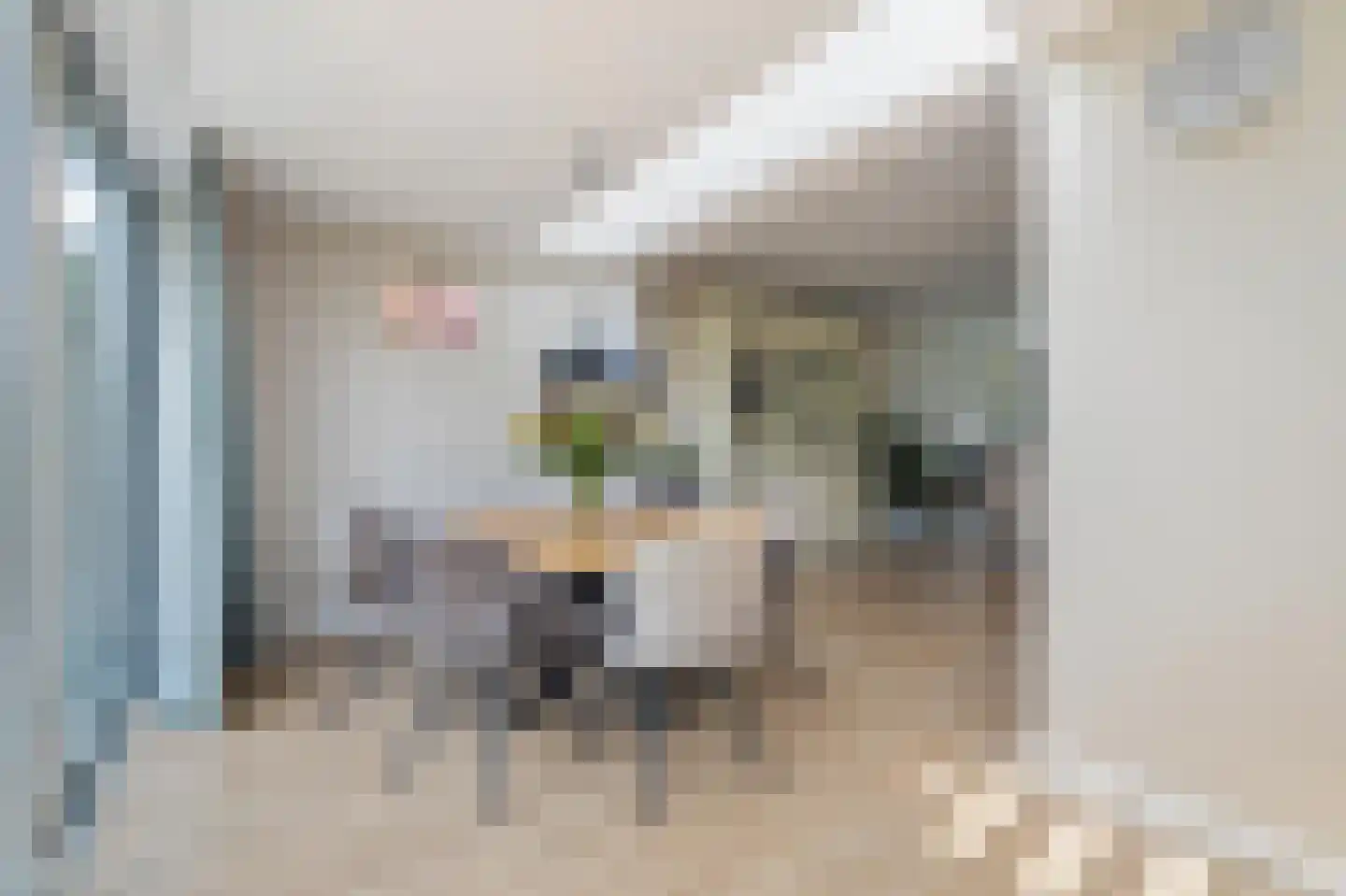 Brigidastraat 23 Breda thumbnail 31