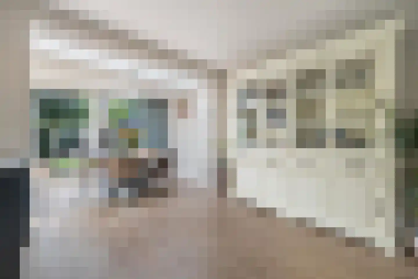 Brigidastraat 23 Breda thumbnail 33