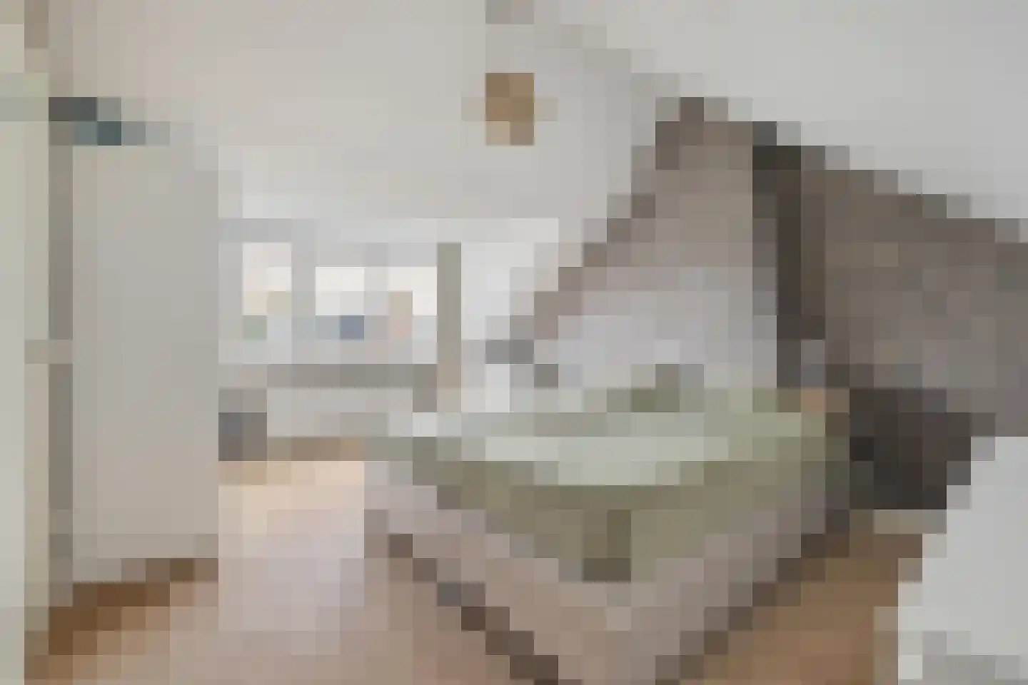 Brigidastraat 23 Breda thumbnail 50