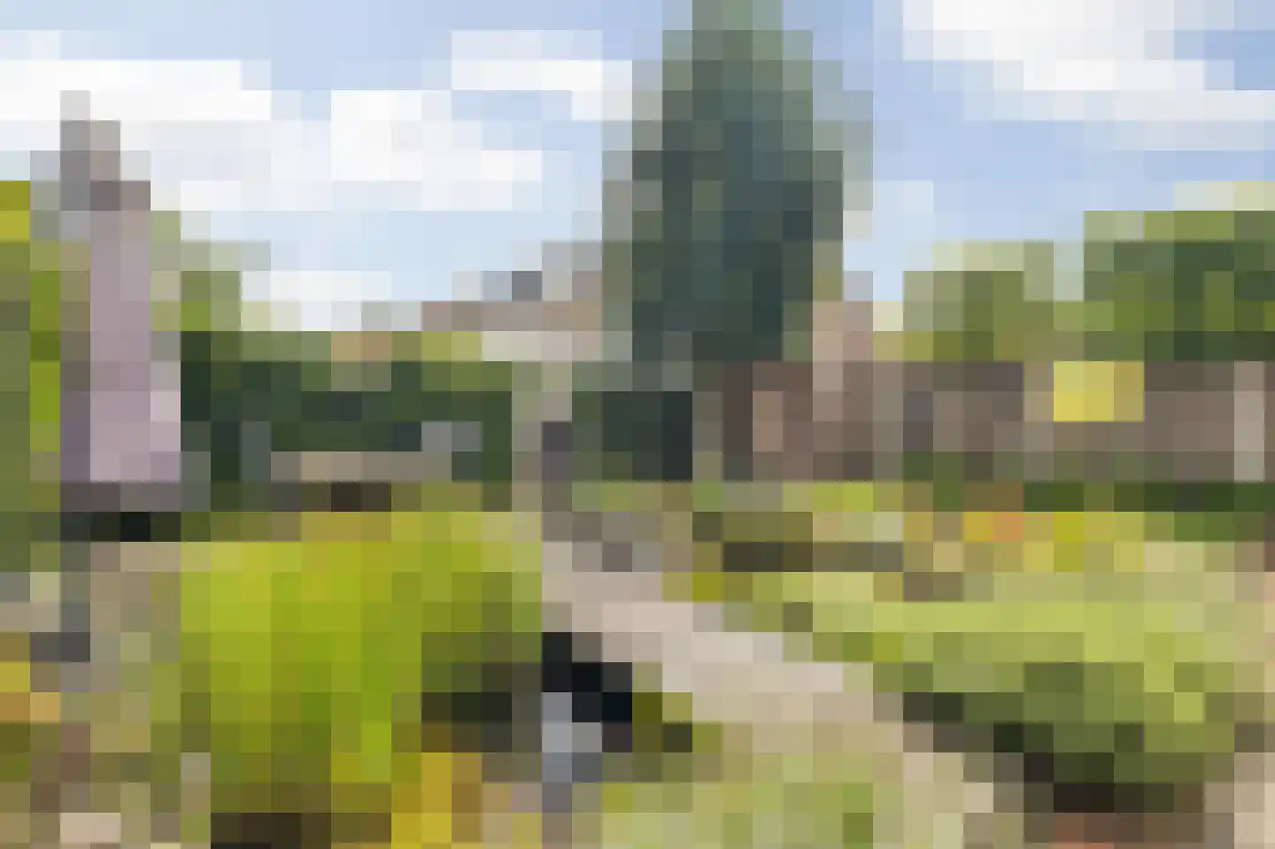Brigidastraat 23 Breda thumbnail 58