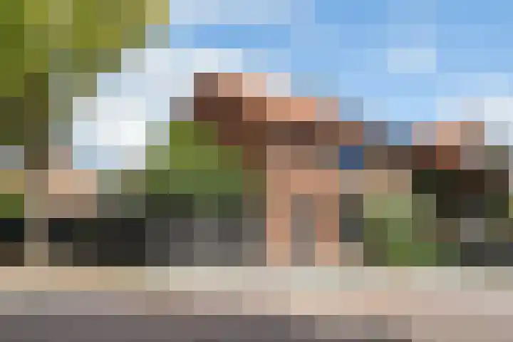 Brigidastraat 27 Bavel thumbnail 38