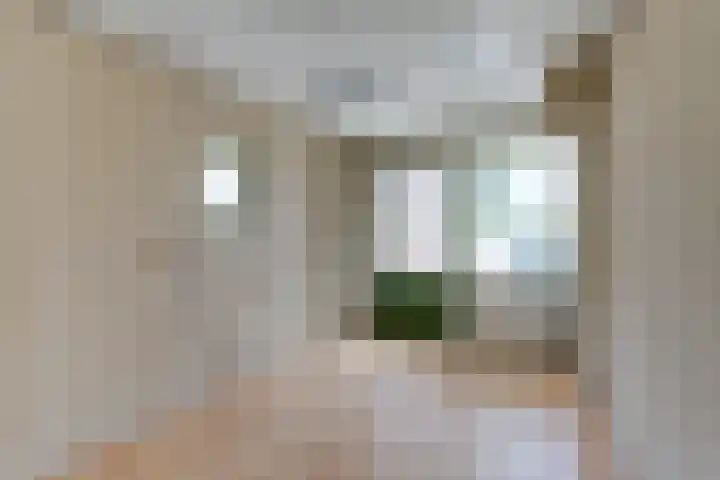 Brigidastraat 44 Bavel thumbnail 17
