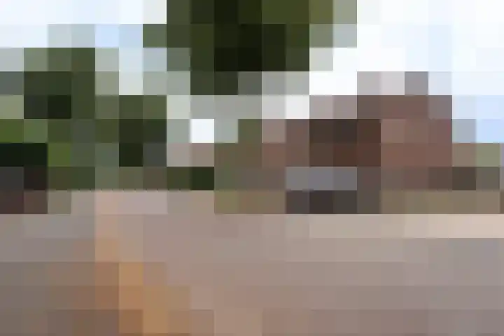 Brigidastraat 44 Bavel thumbnail 32