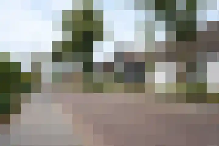 Brigidastraat 44 Bavel thumbnail 33