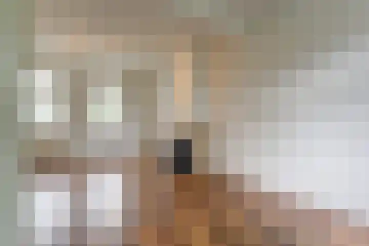 Brigidastraat 44 Bavel thumbnail 8