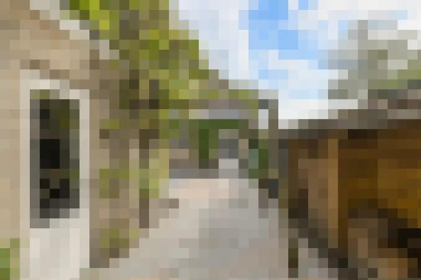 Brigidastraat 45 A Bavel thumbnail 40