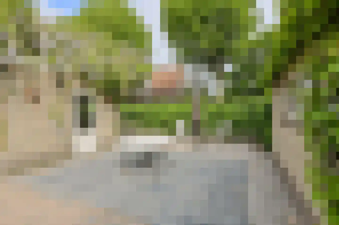 Brigidastraat 45 A Bavel thumbnail 43