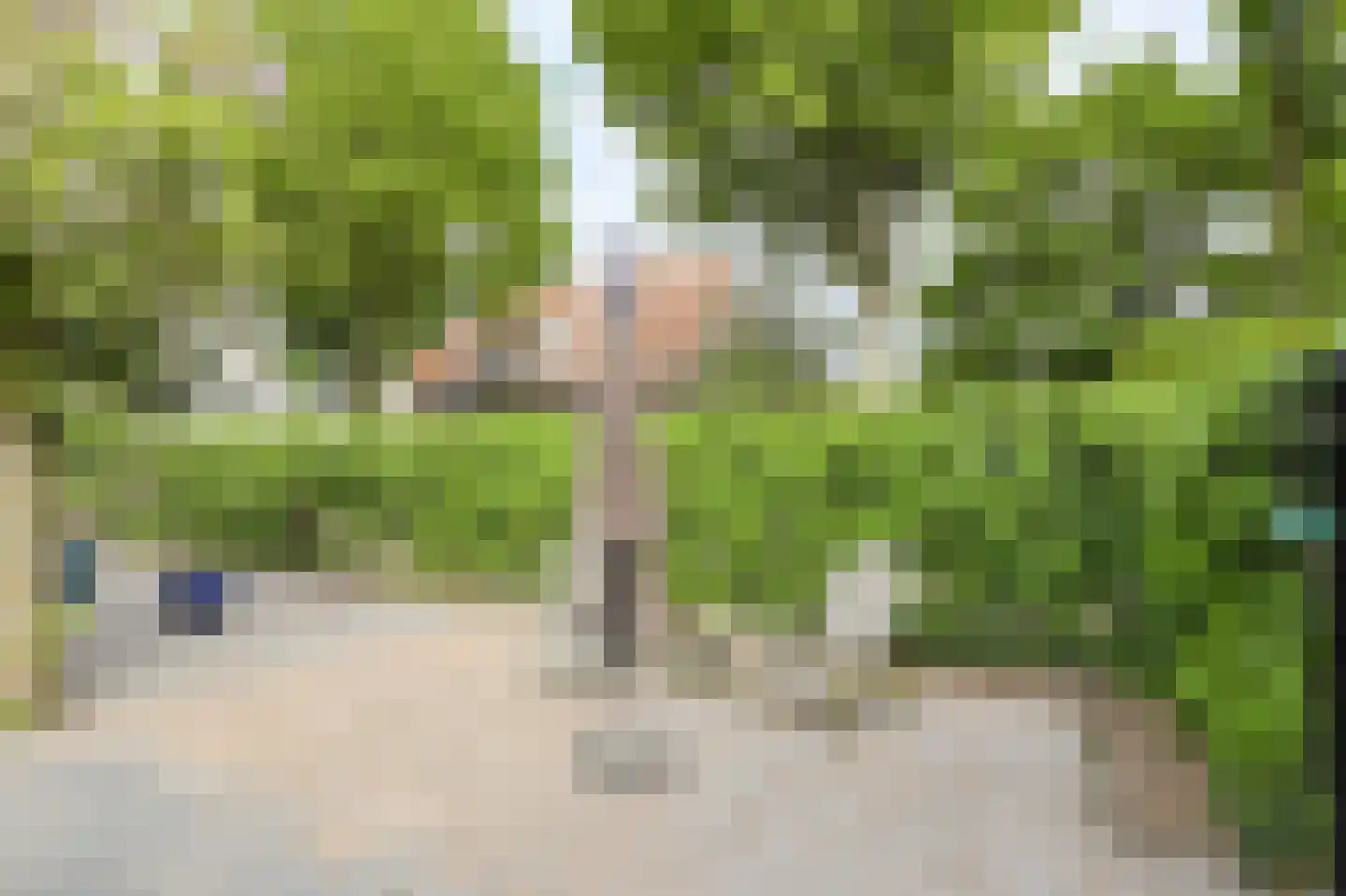 Brigidastraat 45 A Bavel thumbnail 44