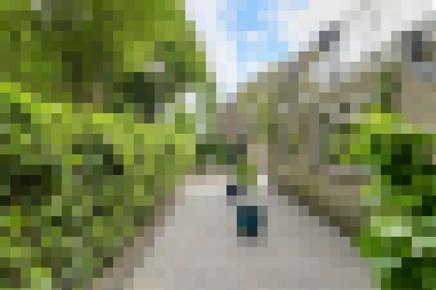 Brigidastraat 45 A Bavel thumbnail 46