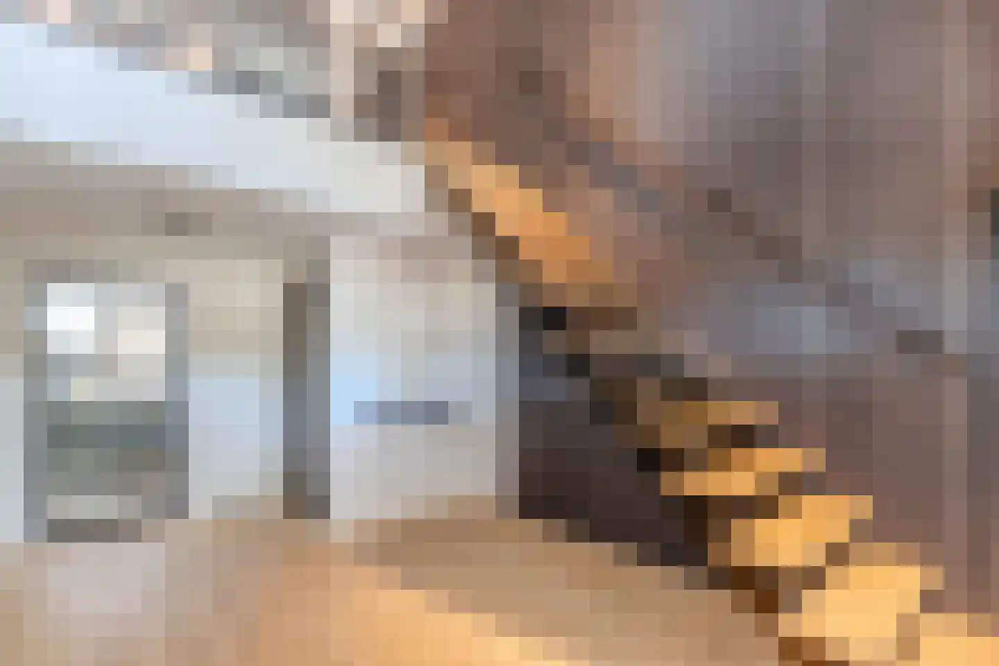 Brigidastraat 84 A Bavel thumbnail 4