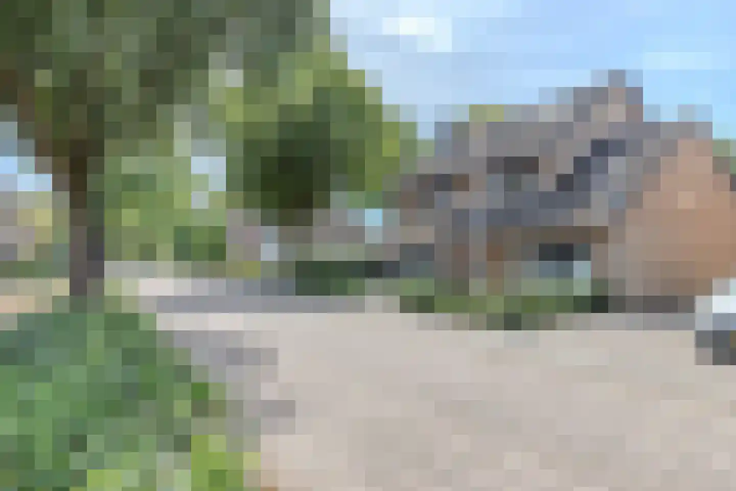 Brigidastraat 84 A Bavel thumbnail 55