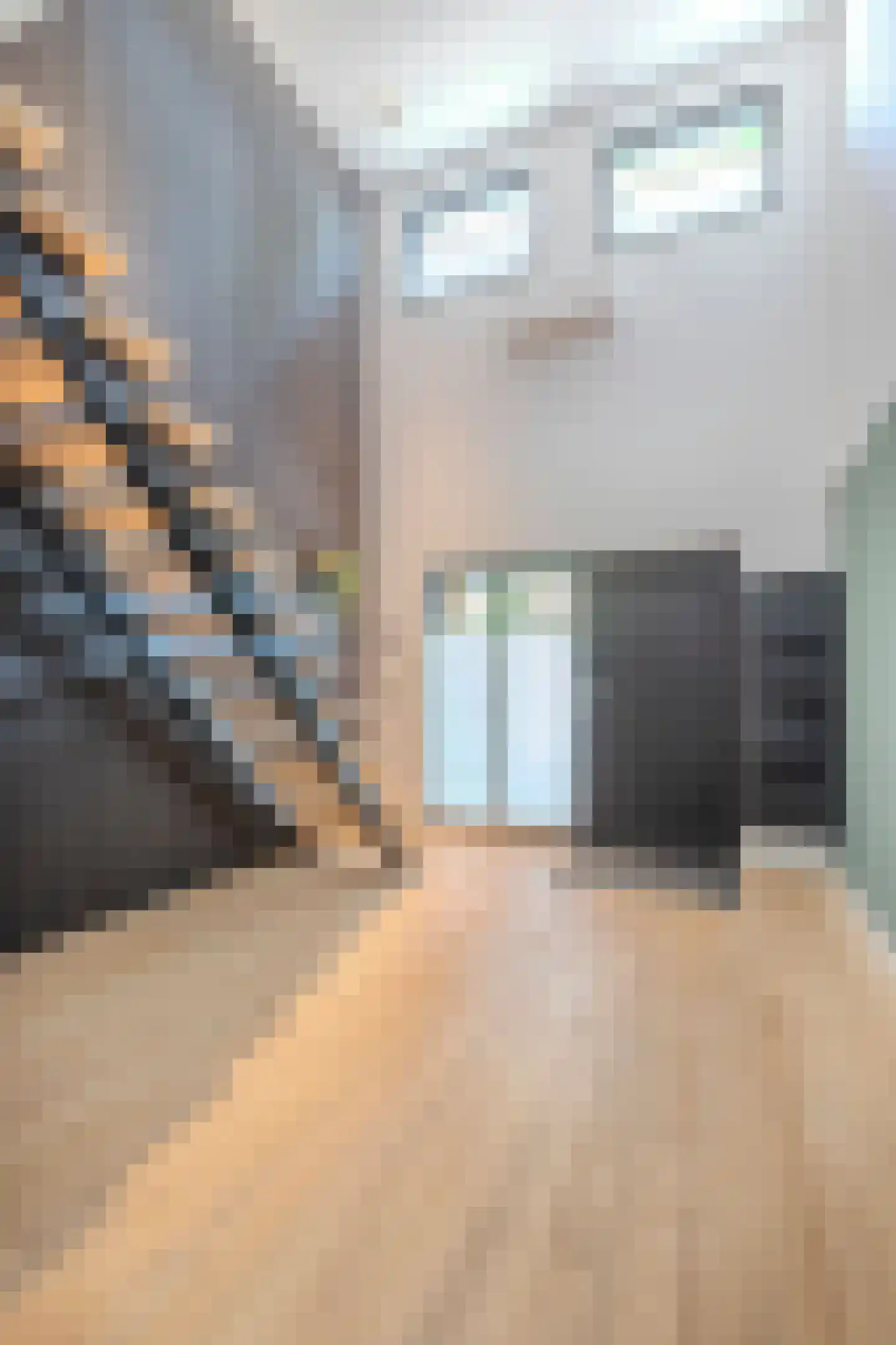 Brigidastraat 84 A Bavel thumbnail 62