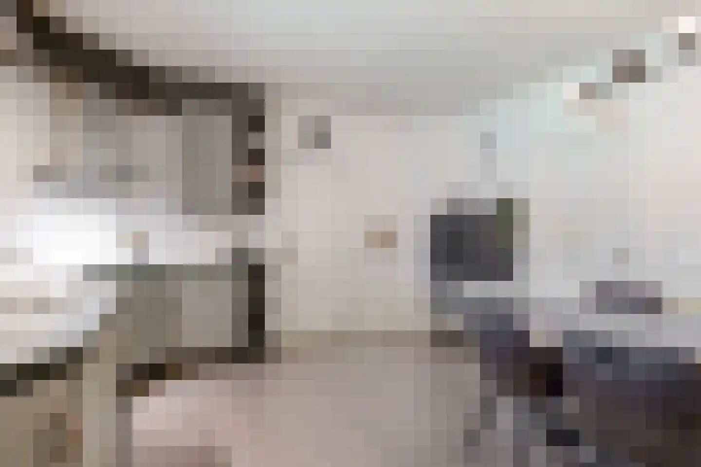 Brigittastraat 4 Ittervoort thumbnail 12