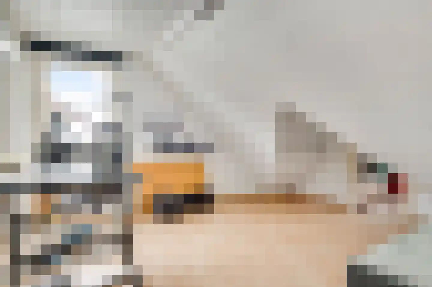 Brigittastraat 4 Ittervoort thumbnail 20