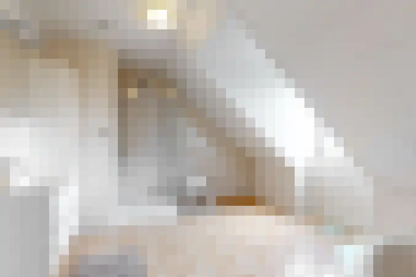 Brigittastraat 4 Ittervoort thumbnail 22